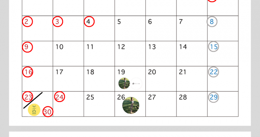 11月営業日のお知らせ