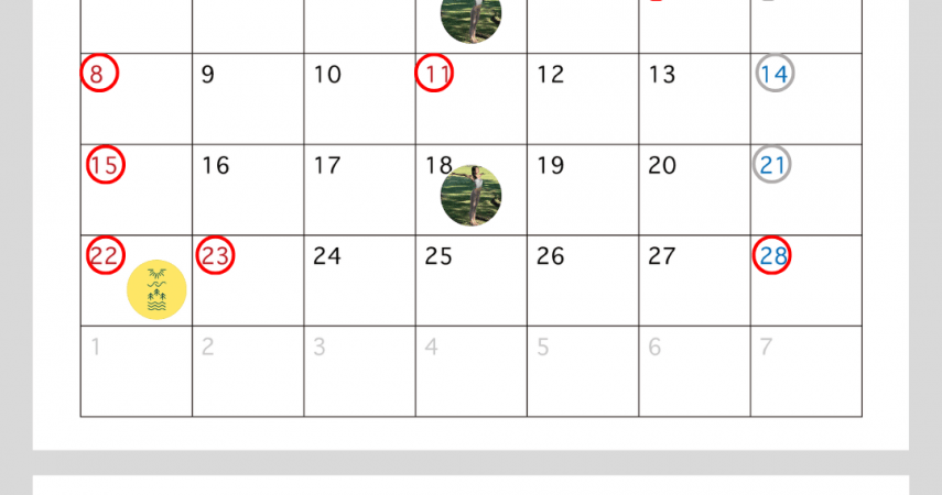 ２月営業日のお知らせ